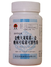 萊蕪市勝康藥業獸藥有限公司產品鹽酸大觀鹽酸林可霉素可溶性粉